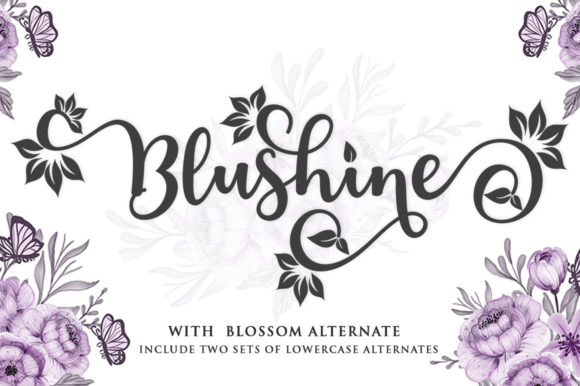 Blushine Script: A Font for Polished Branding