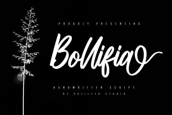 Bollifia Script: A Flowing Handwritten Font