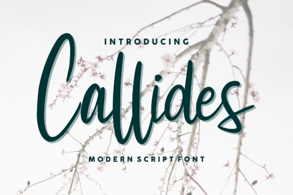 Callides Script: A Luxurious Font for Your Brand
