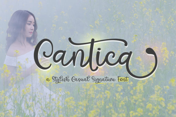 Cantica Script: A Stylish Font for Web Design