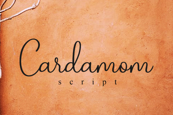 Cardamom Script: A Font for Timeless Branding