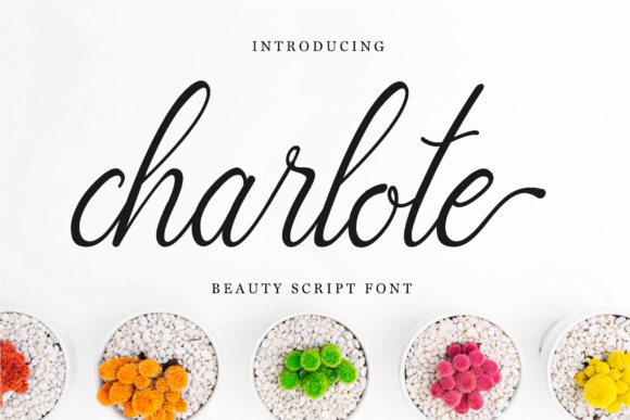 Charlote Script Review