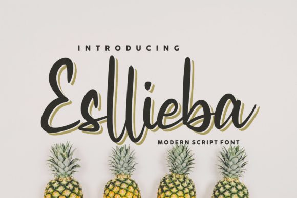 Esllieba Script: A Elegant Font for Business