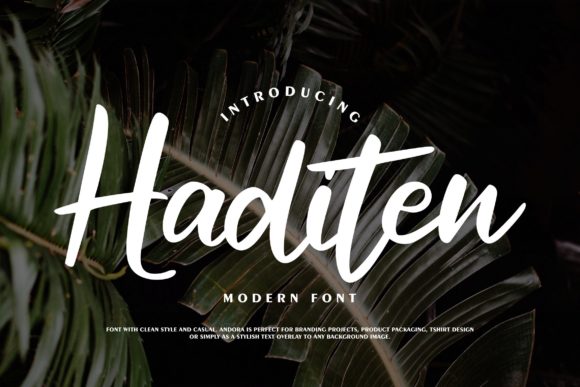 Haditen Script: A Stylish Font for Business